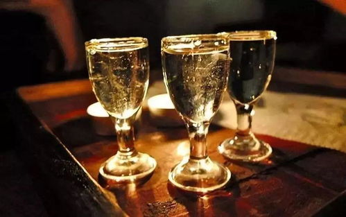 金樽黑酒 與講究者共飲，一場流動的儀式